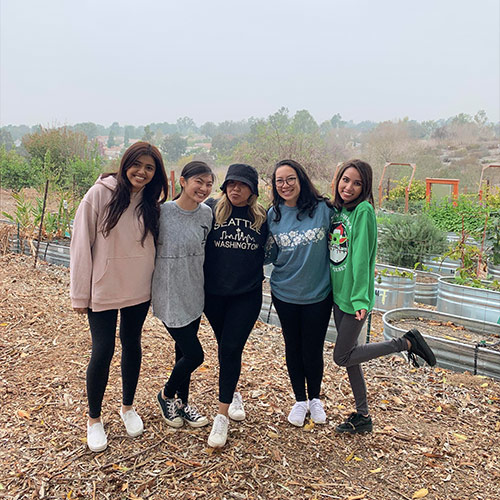 Ka Pu’uhonua club volunteering in the Heritage Garden